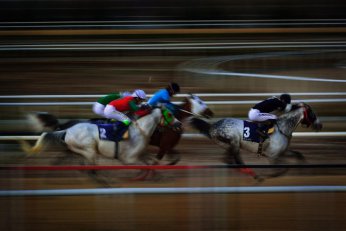 Fotoğraf yarışmasında ödüller sahiplerini buldu