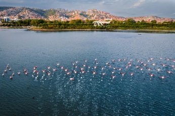 Fotoğraf yarışmasında ödüller sahiplerini buldu