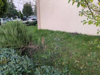 Camları silerken 4'üncü kattan düştü