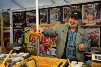 Kocaeli'de 2 ton hamsi dağıtıldı