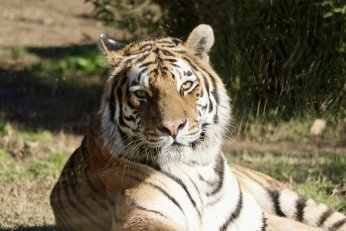 Hayvanat bahçesinde 23 türde 93 yavru doğdu