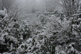 Beklenen kar gelince soluğu Kartepe’de aldılar