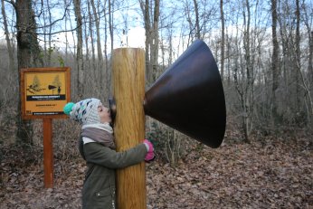 Doğanın sesini akustik ortamda dinliyorlar