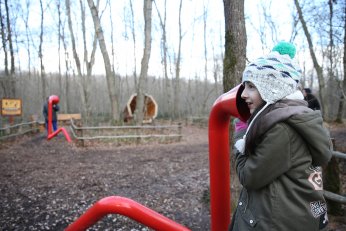 Doğanın sesini akustik ortamda dinliyorlar