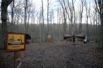 Doğanın sesini akustik ortamda dinliyorlar