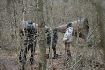 Doğanın sesini akustik ortamda dinliyorlar