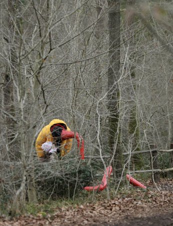 Doğanın sesini akustik ortamda dinliyorlar