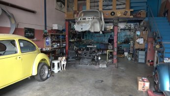 Böyle vosvos tutkusu görülmedi