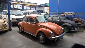 Böyle vosvos tutkusu görülmedi