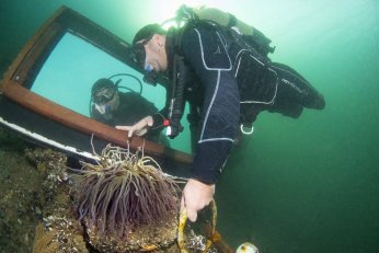 Başarı hikayesi ile umut oluyor