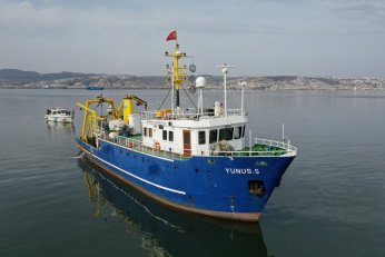 İzmit Körfezi’nde biyo çeşitliliğin tespiti