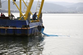 İzmit Körfezi’nde biyo çeşitliliğin tespiti