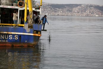 İzmit Körfezi’nde biyo çeşitliliğin tespiti