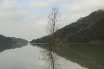 Yuvacık Barajı yüzde 95 doldu, kapaklar açıldı