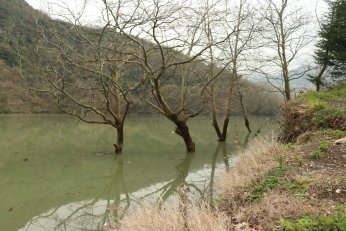 Yuvacık Barajı yüzde 95 doldu, kapaklar açıldı