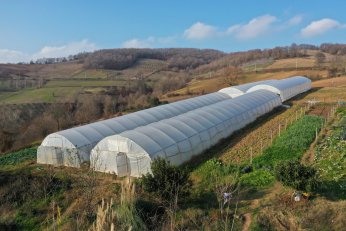 Büyükşehir’in kurduğu seralar üreticiyi sevindirdi
