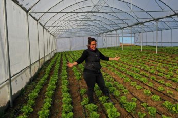 Büyükşehir’in kurduğu seralar üreticiyi sevindirdi