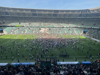 Hoş geldin ŞAMPİYON!