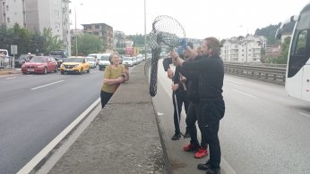 Gölcük’te bariyerlere sıkışan kedi için trafiği durdurdular