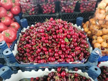 Kiraz, 40 liralık fiyatı ile tezgahlarda