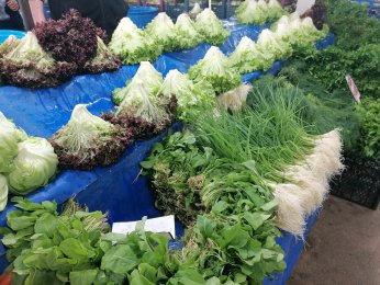 Kiraz, 40 liralık fiyatı ile tezgahlarda