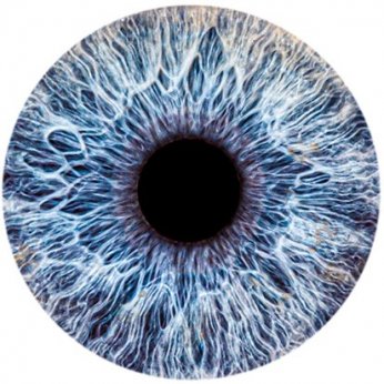 Göz irisleri fotoğraf sanatına dönüşüyor