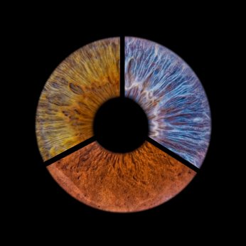 Göz irisleri fotoğraf sanatına dönüşüyor