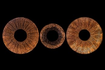 Göz irisleri fotoğraf sanatına dönüşüyor