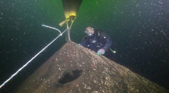 “Hayalet ağlar”ın temizlenmesi görüntülendi