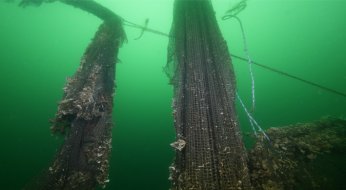“Hayalet ağlar”ın temizlenmesi görüntülendi