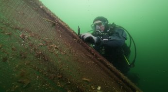 “Hayalet ağlar”ın temizlenmesi görüntülendi