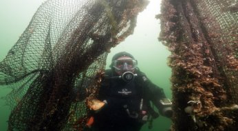 “Hayalet ağlar”ın temizlenmesi görüntülendi