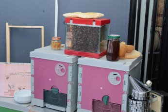 Halıdere’de bal hasadı şenliği