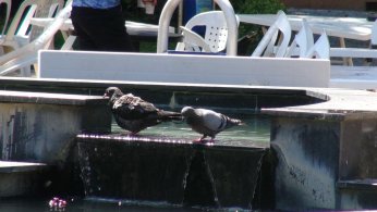 Kocaeli’de Eyyam-ı Bahur sıcakları etkili oluyor