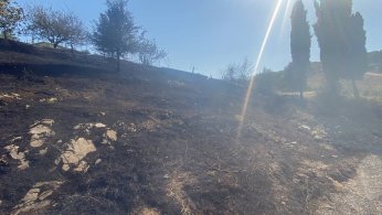 Aynı saatte 3 farklı bölgede yangın çıktı