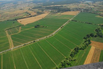 Büyükşehir’den çiftçilere tohum desteği