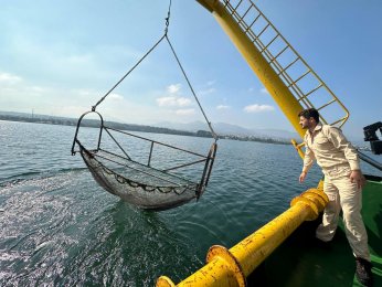 Dip çamuru temizliği biyoçeşitliliği artıracak
