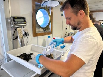 Dip çamuru temizliği biyoçeşitliliği artıracak