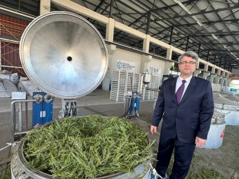 İşlenen bitkilerden 70 çeşit ürün elde ediliyor