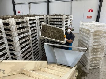 İşlenen bitkilerden 70 çeşit ürün elde ediliyor