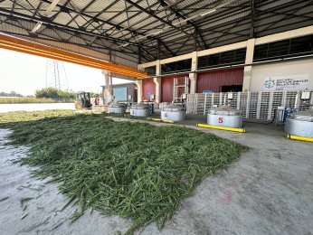 İşlenen bitkilerden 70 çeşit ürün elde ediliyor