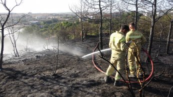 Otluk alandan ormana sıçrayan yangın söndürüldü