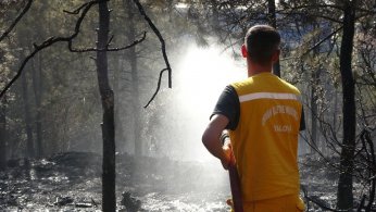 Otluk alandan ormana sıçrayan yangın söndürüldü