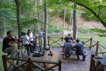 Ormanya’nın yaban  hayatı TRT Belgesel’de