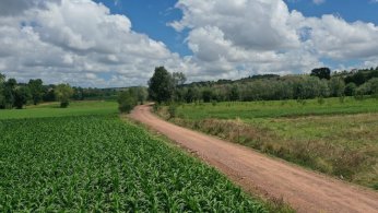 Büyükşehirle çiftçinin yolu hep açık