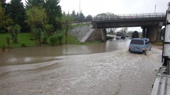 Şiddetli rüzgar ağacı kökünden söktü