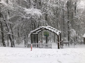 Eriklitepe beyaz örtüyle kaplandı