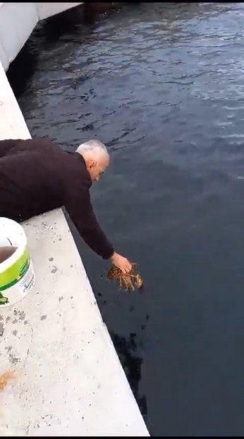 Değirmendere’de oltaya 3 kiloluk ıstakoz takıldı