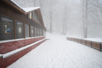 Kartepe’ye kazandırılan mesire alanına yoğun ilgi