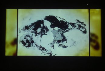 Sarıkamış Şehitleri Gölcük’te anıldı